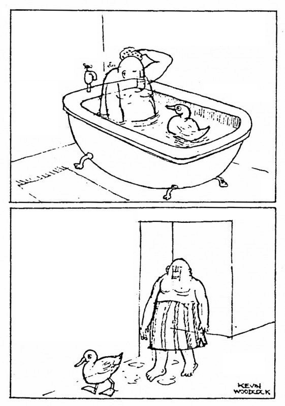 duck-in-bath