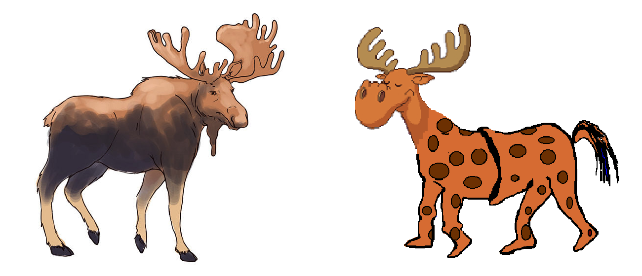 moose-meets-moose